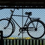 teambike (32)