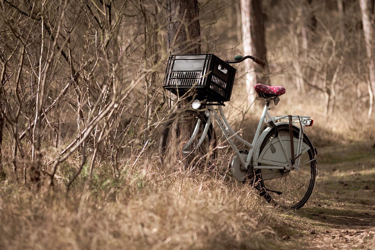 Czy bikepacking jest dla każdego?