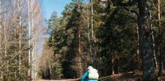 Kolarz jedzie szosą przez wiosenny las podczas samotnej wyprawy