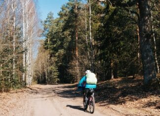 Jak połączyć ultramaraton szosowy z lekkim bikepackingiem i zwiedzaniem Polski Kolarz jedzie szosą przez wiosenny las podczas samotnej wyprawy