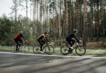 Grupa kolarzy jedzie szosą w słońcu, w tle zielony las