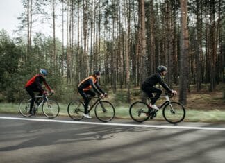 Czy stalowa rama naprawdę jest wygodniejsza na długich trasach Grupa kolarzy jedzie szosą w słońcu, w tle zielony las